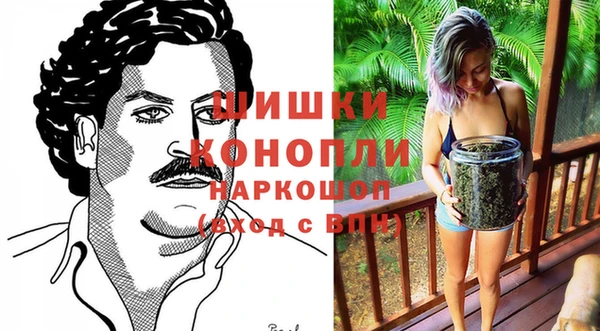 гидра Михайловка