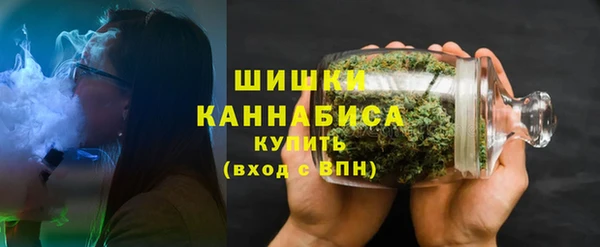 PSILOCYBIN Абдулино